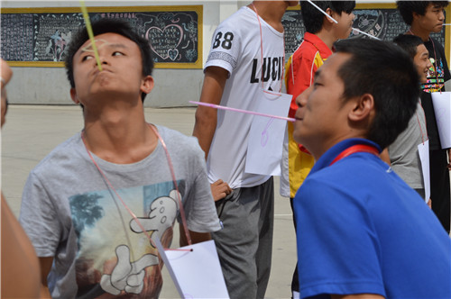 图为“啄木鸟”拓展活动的现场 